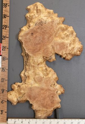 5A Burl Maple