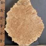 5A Cap Burl Maple