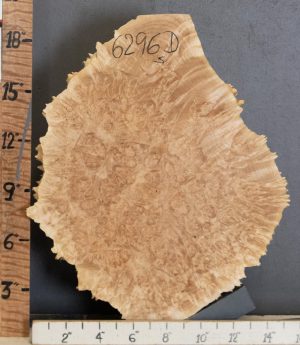 5A Cap Burl Maple