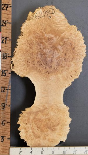 5A Cap Burl Maple