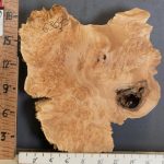 5A Cap Burl Maple