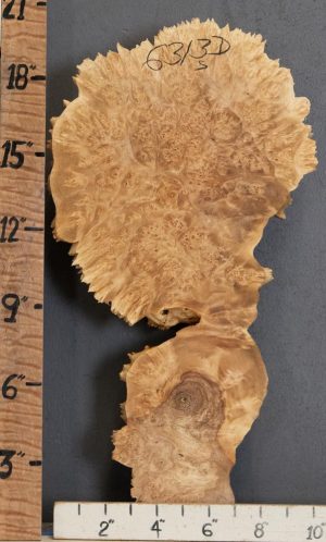 5A Cap Burl Maple