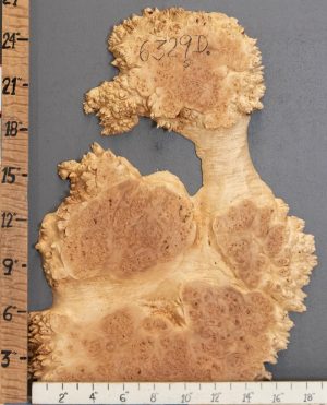 5A Burl Maple