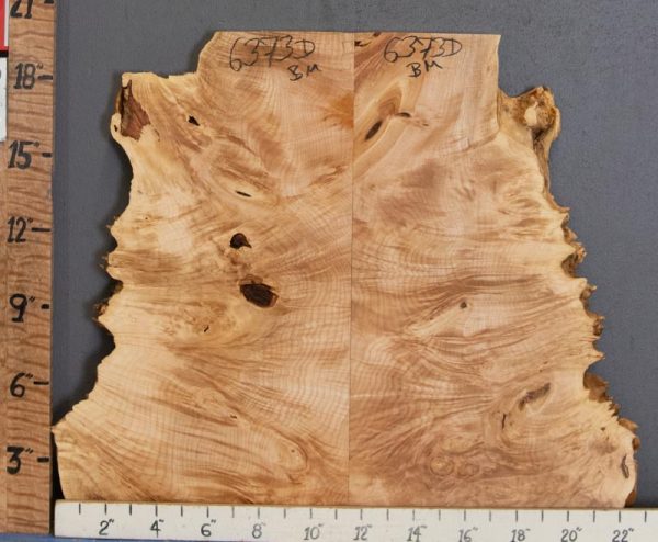 5A Burl Maple