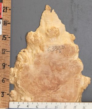 5A Burl Maple