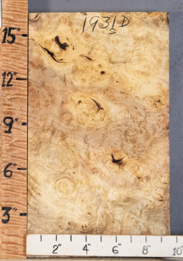 5A Block Burl Myrtlewood Lumber 9"1/2 X 16" X 1"7/8 (NWT-1931D) - Image 2