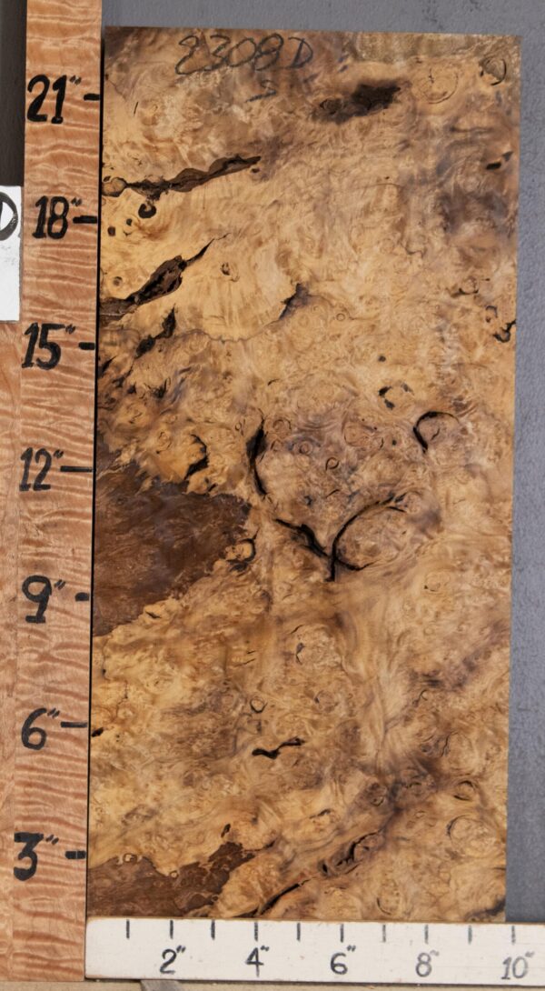 5A Block Burl Myrtlewood Lumber 9"3/4 X 22" X 1"1/2 (NWT-2308D) - Image 2