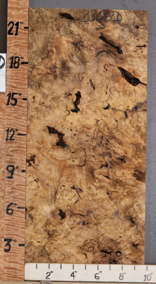 5A Block Burl Myrtlewood Lumber 9"3/4 X 22" X 1"1/2 (NWT-2308D)