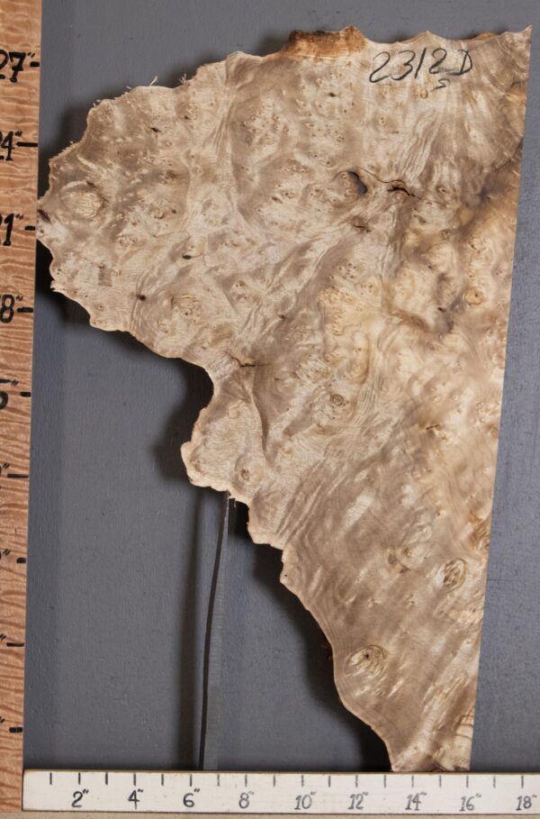 5A Burl Myrtlewood with Live Edge Lumber 17" X 28" X 1"7/8 (NWT-2312D) - Image 2