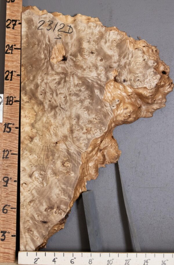 5A Burl Myrtlewood with Live Edge Lumber 17" X 28" X 1"7/8 (NWT-2312D)