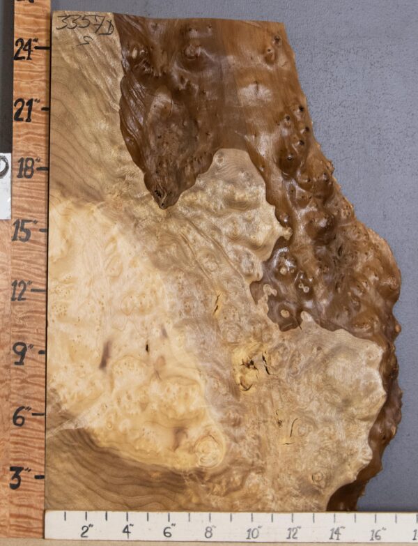 5A Block Burl Myrtlewood