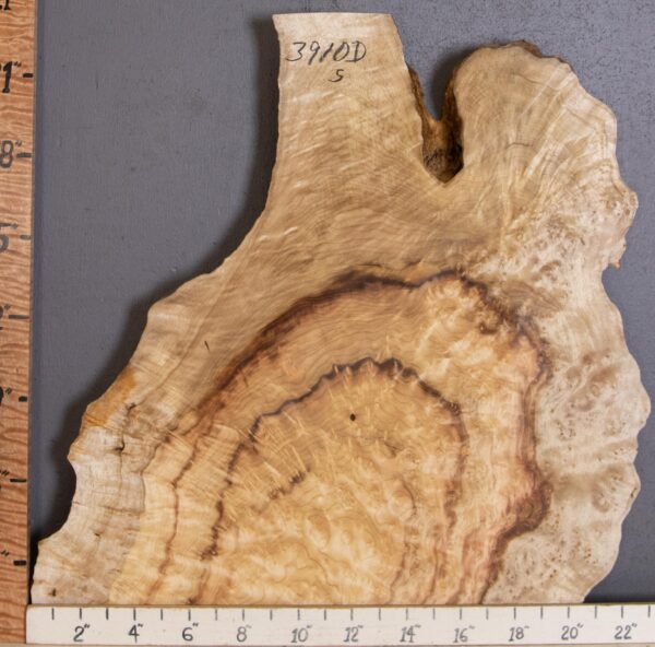 5A Burl Myrtlewood