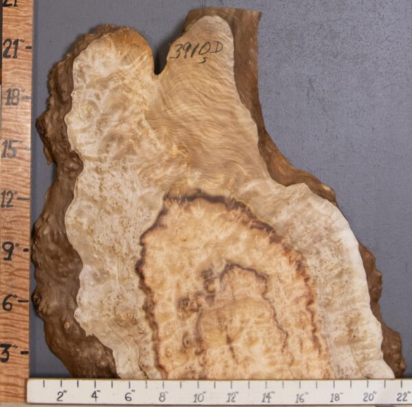 5A Burl Myrtlewood