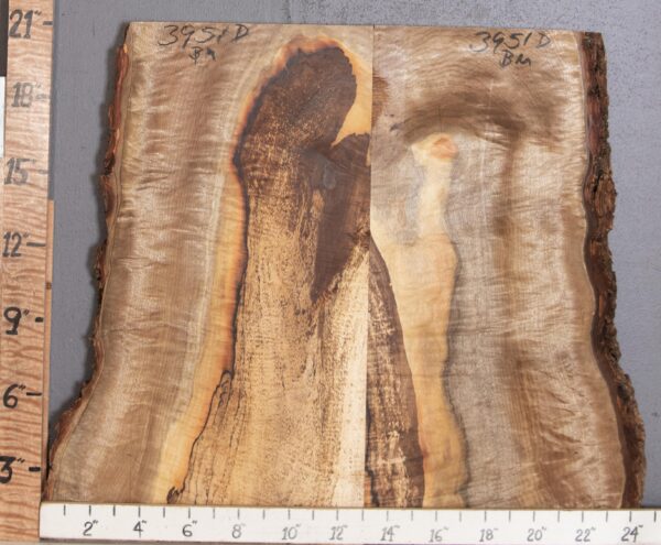 5A Spalted Curly Myrtlewood