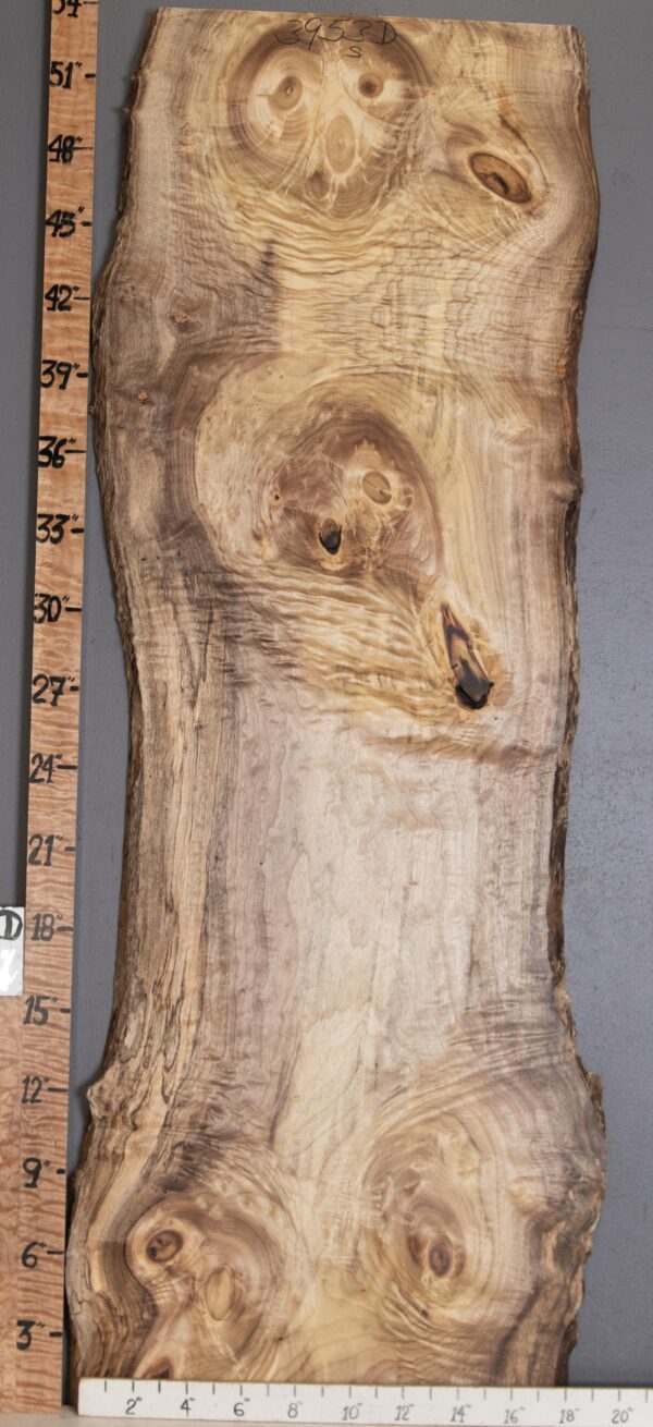 5A Burl Curly Myrtlewood