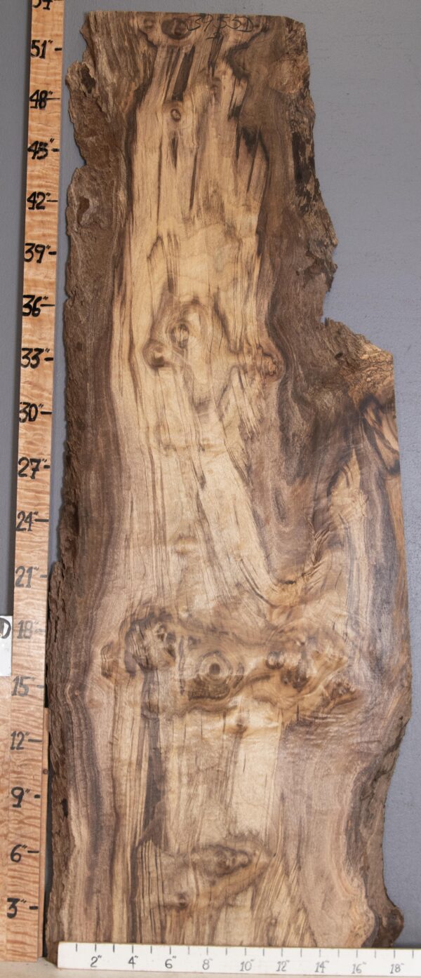 5A Burl Myrtlewood