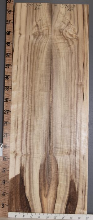 5A Spalted Curly Myrtlewood