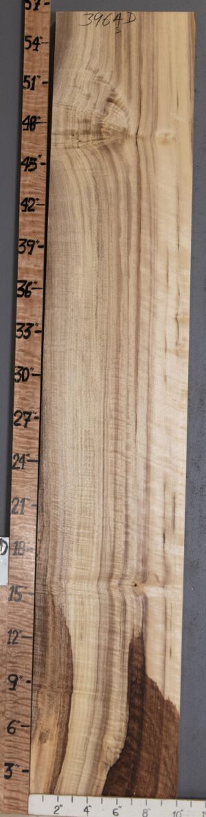 5A Spalted Curly Myrtlewood
