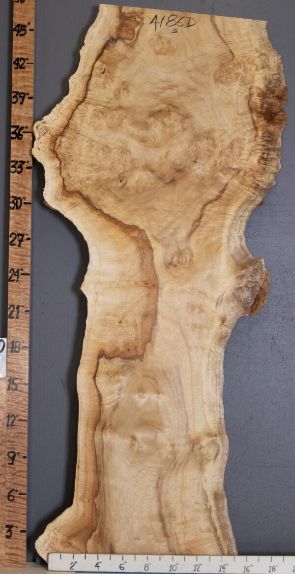 5A Burl Myrtlewood