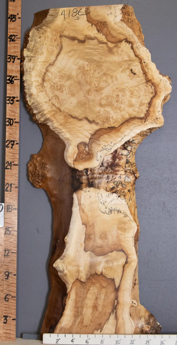 5A Burl Myrtlewood