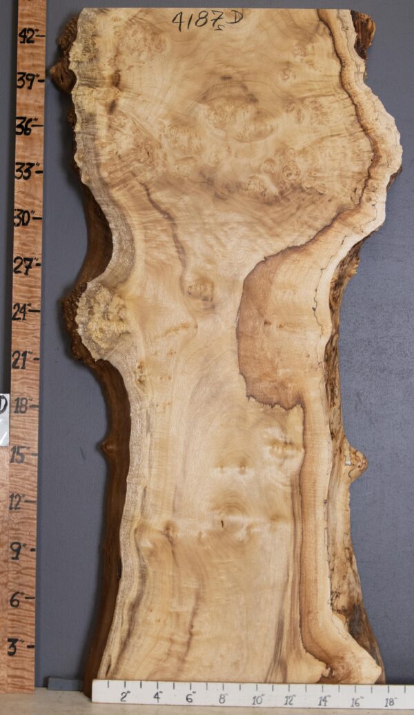 5A Burl Myrtlewood