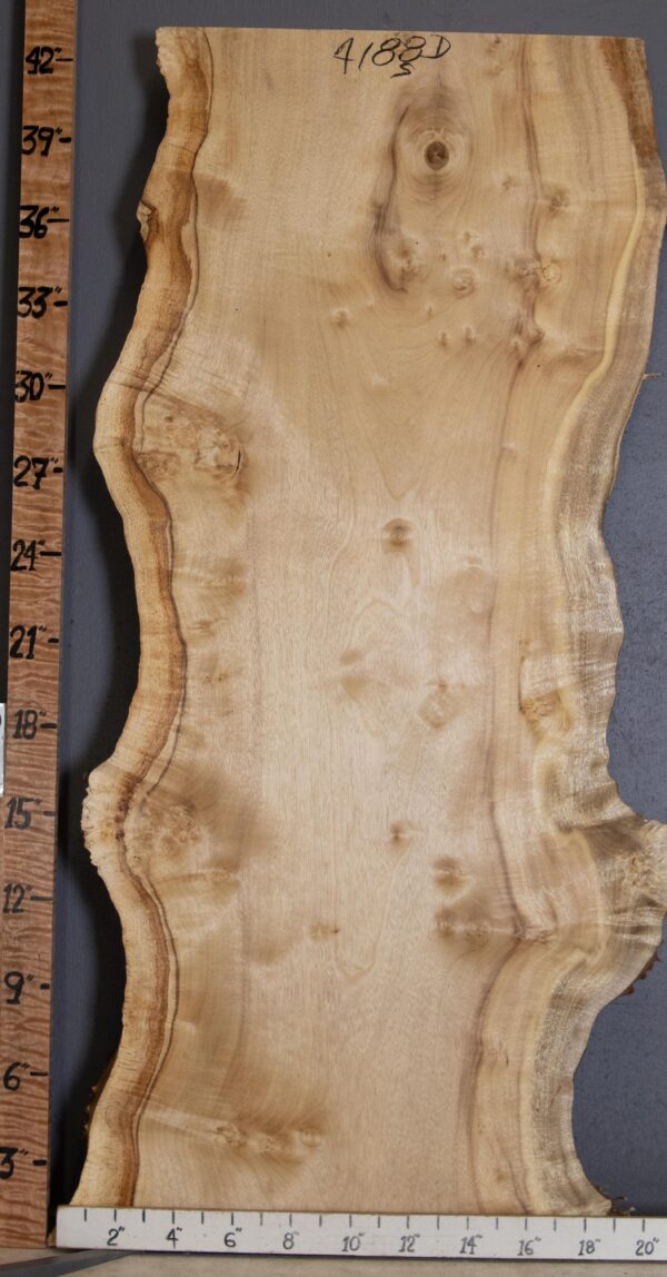 5A Burl Myrtlewood