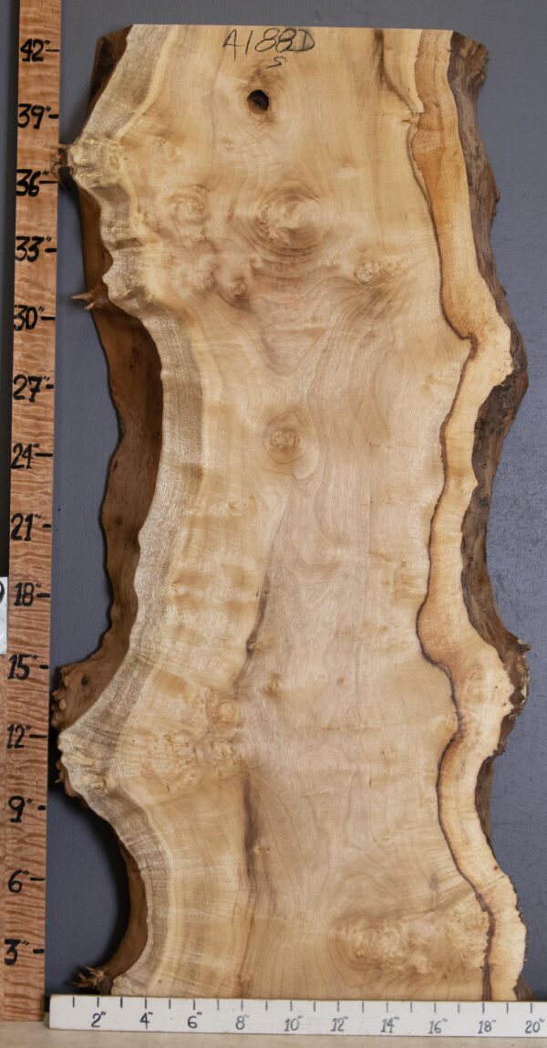 5A Burl Myrtlewood