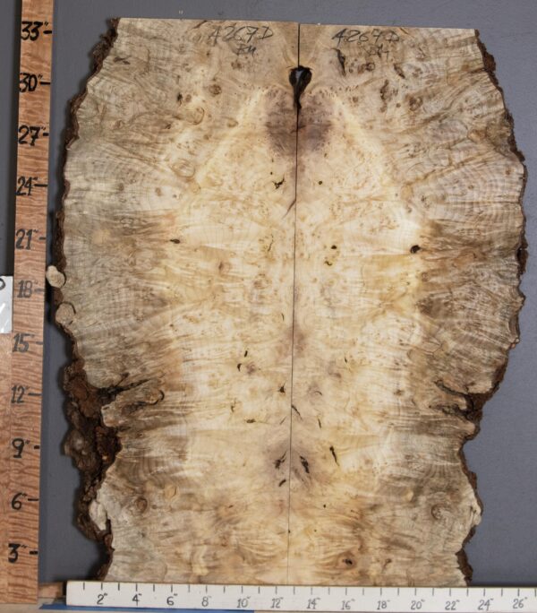 5A Burl Myrtlewood