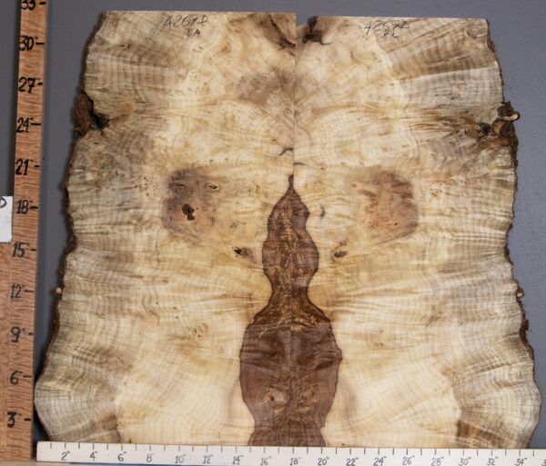 5A Burl Curly Myrtlewood