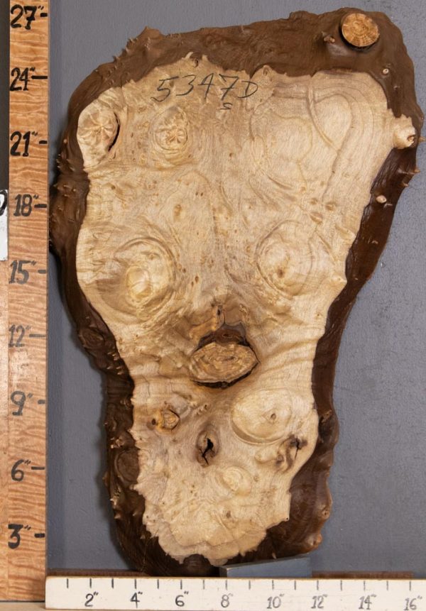 5A Burl Myrtlewood