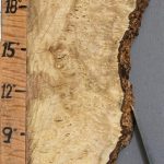 5A Burl Myrtlewood