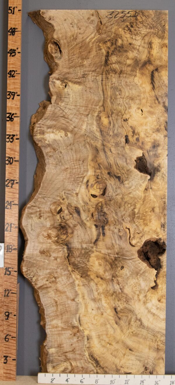 5A Burl Curly Myrtlewood with Live Edge Lumber 17" X 51" X 2" (NWT-3255D) - Image 2