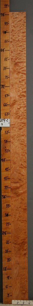 5A Quilted Maple Lumber 5"1/2 X 96" X 6/4 (NWT-1609C)