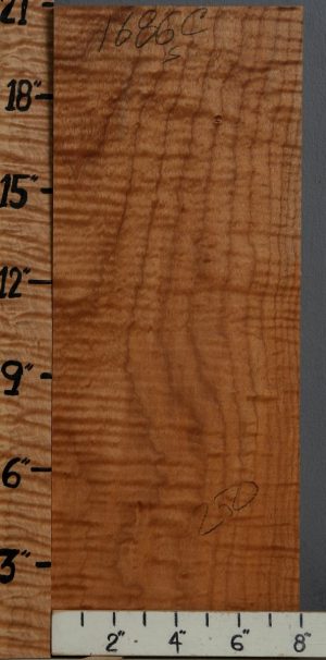 5A Red Heart Curly Maple Block 8" X 20" X 1"3/4 (NWT-1686C)