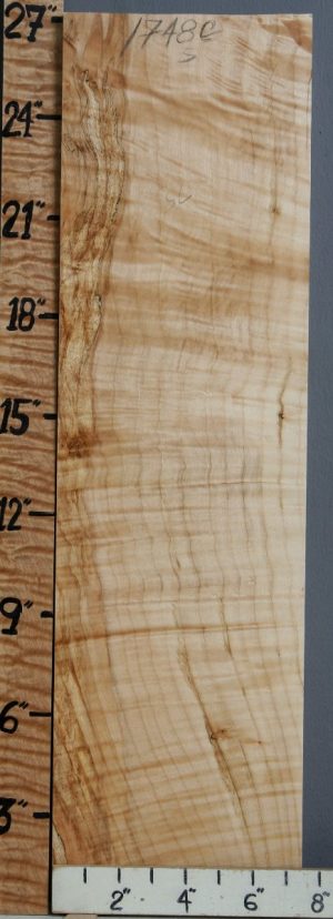 5A Spalted Curly Maple Block 7"3/8 X 27" X 1"1/2 (NWT-1748C)