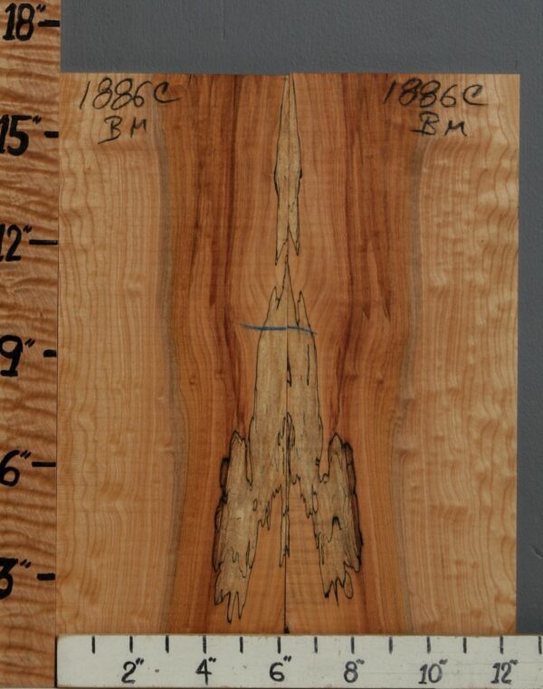 5A Spalted Curly Maple Bookmatch 12"1/4 X 16" X 1/2 (NWT-1886C)