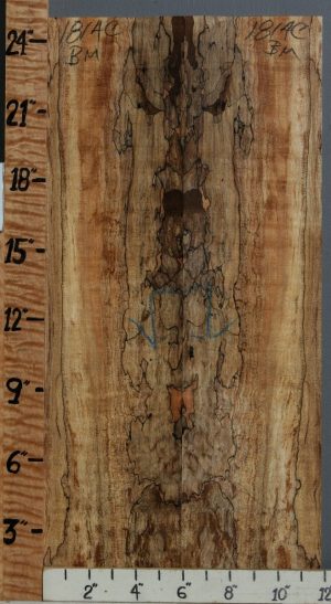 5A Spalted Curly Maple Bookmatch 11"3/4 X 25" X 1/2 (NWT-1814C)