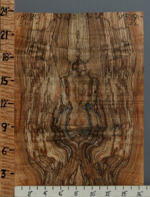 5A Spalted Curly Maple Bookmatch 16"1/2 X 23" X 1/2 (NWT-1828C)