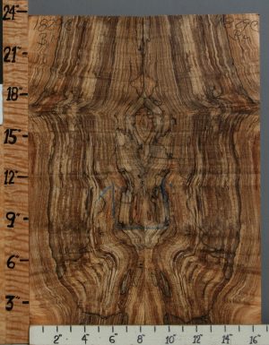 5A Spalted Curly Maple Bookmatch 16"1/2 X 23" X 1/2 (NWT-1829C)