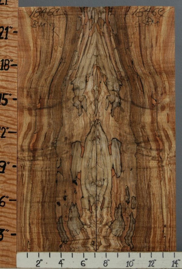 5A Spalted Curly Maple Bookmatch 14" X 23" X 1/2 (NWT-1846C)