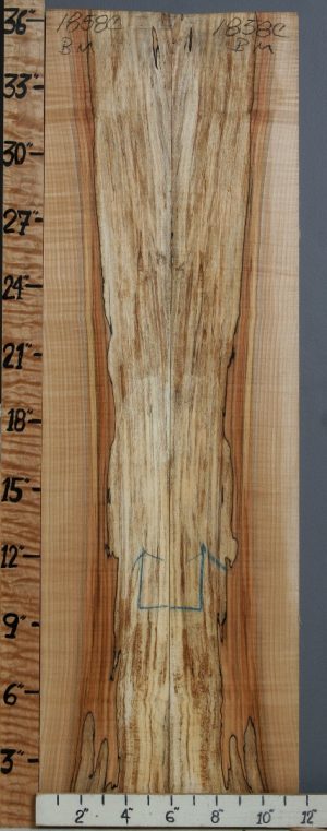 5A Spalted Curly Maple Bookmatch 11"1/4 X 36" X 1/2 (NWT-1858C)