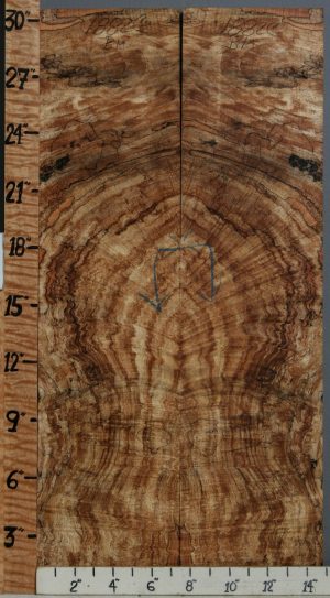 5A Spalted Curly Maple Bookmatch 14"3/4 X 30" X 1/2 (NWT-1882C)