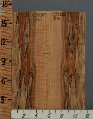 5A Spalted Curly Maple Bookmatch 11"5/8 X 16" X 1/2 (NWT-1888C)