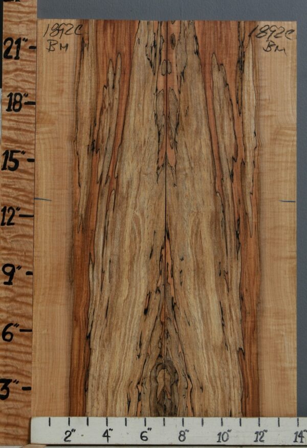 5A Spalted Curly Maple Bookmatch 13"3/4 X 22" X 1/2 (NWT-1892C)