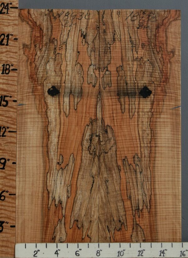 5A Spalted Curly Maple Bookmatch 15"3/4 X 23" X 1/2 (NWT-1893C)