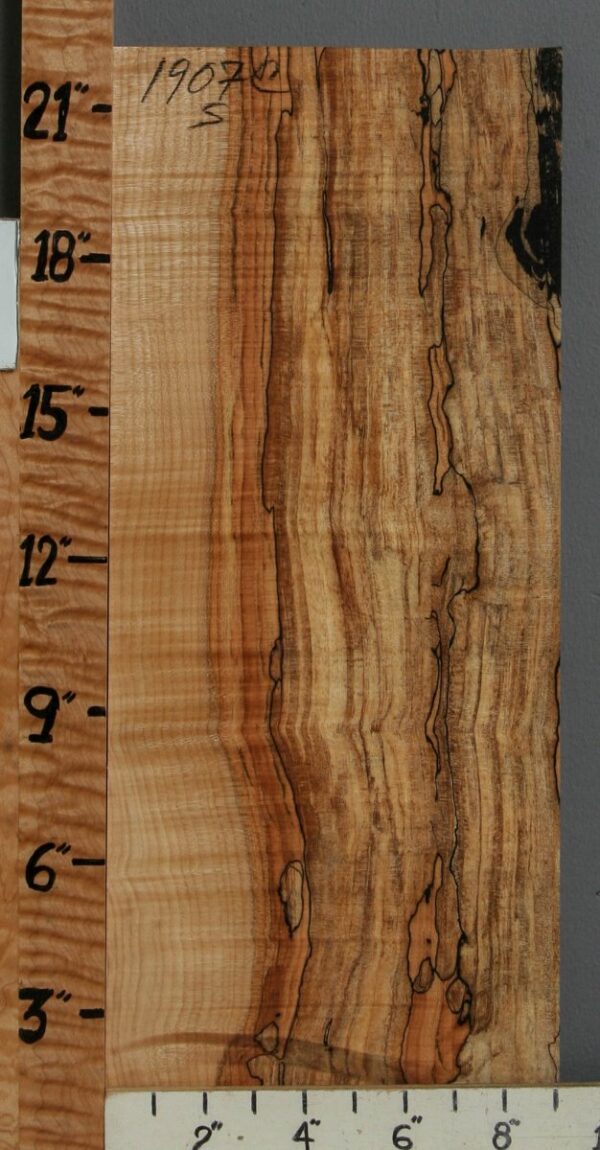 5A Spalted Curly Maple Lumber 9" X 22" X 1/2 (NWT-1907C)