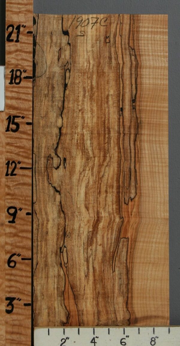 5A Spalted Curly Maple Lumber 9" X 22" X 1/2 (NWT-1907C) - Image 2