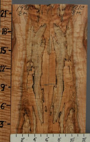 5A Spalted Curly Maple Bookmatch 12"1/4 X 22" X 1/2 (NWT-1921C)