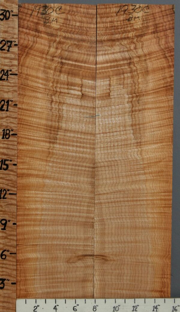 5A Spalted Curly Maple Bookmatch 15"1/2 X 31" X 3/8 (NWT-1930C)