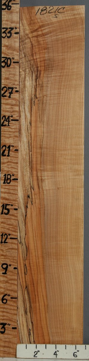 5A Spalted Curly Maple Lumber 6"5/8 X 35" X 1/2 (NWT-1821C)